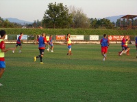 Mladost mora pasti