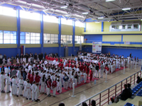 Teslić open 2011